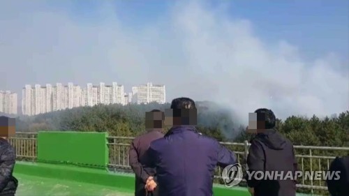 포항 두호동 시가지 야산 불 1시간 20여분 만에 진화