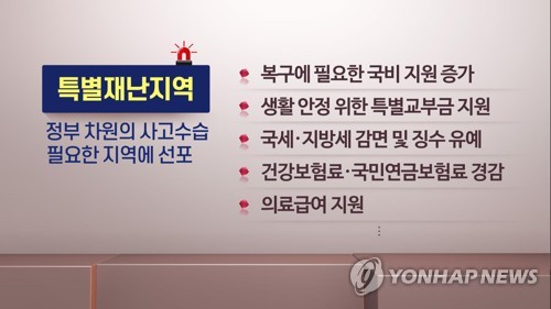 [강원산불] 특별재난지역 지정됐지만 복구 막막…"현실과 안 맞아"