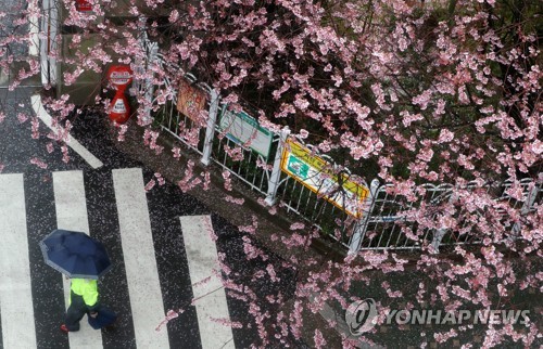 부산, 건조특보 일주일만에 봄비…산불·재발화 불안 걷혀