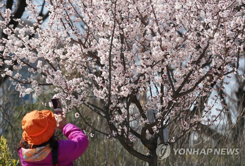 일교차 크고 강한 바람…미세먼지 전국 '좋음'∼'보통'