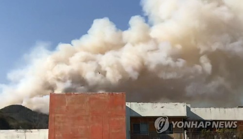 부산 해운대 산불 확산…불씨 바람 타고 수십ｍ 날아다녀