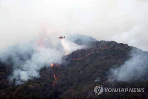 '큰 불길은 잡았다'…해운대 산불, 현재 축구장 28개 면적 불타