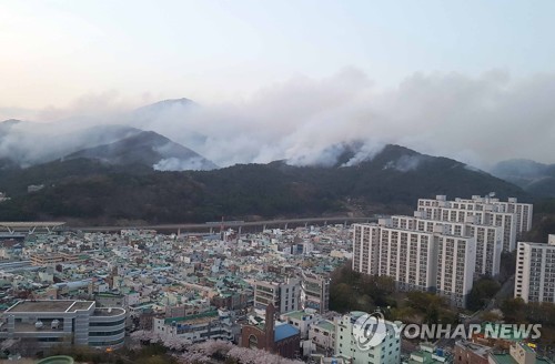 '큰 불길은 잡았다'…해운대 산불, 현재 축구장 28개 면적 불타