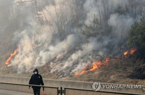 [강원산불] 45시간 태운 인제 산불…발 빠른 대응 피해 최소화