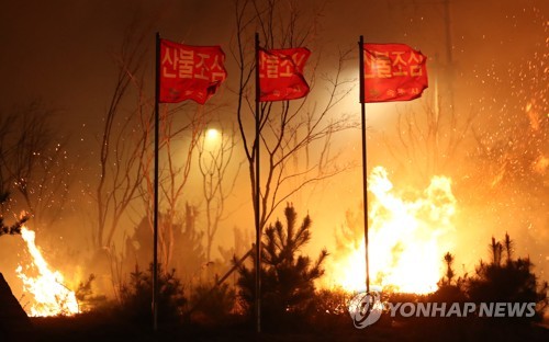 [강원산불] '이제서야 잦아드나'…강풍경보→주의보 대치