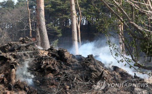 [강원산불] 행안장관 이임식 취소…내일 0시부터 진영 장관이 지휘