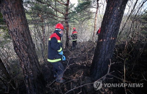 [강원산불] '오늘 밤 최대 고비'…땅속 숨은 불씨와 밤샘 사투 불가피