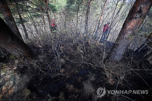 강원산불 525㏊ 소실…고성 주불진화, 인제60％·강릉40％ 진화