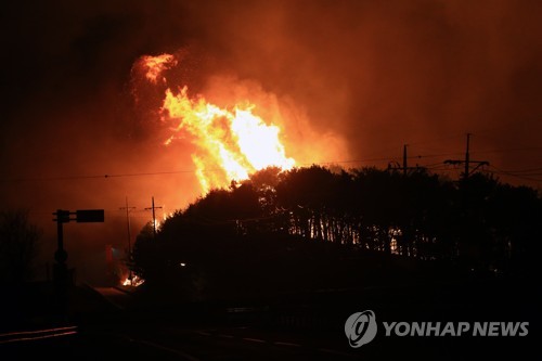 10년간 산불 피해면적 서울 9분의1…입산자 실화가 주원인