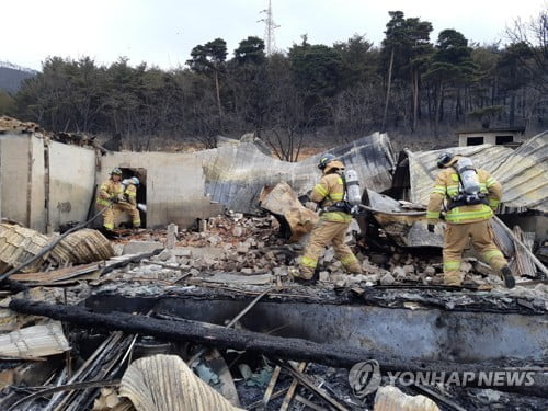 [강원산불] 주택 285채 피해 확인…소방·군 진화인력 철수