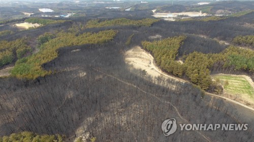 강원산불 피해 530㏊→1천757㏊…3배 넘게 늘어난 이유는?