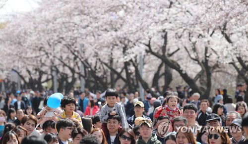 꽃놀이 가자…완연한 봄날씨에 서울 도심 상춘객 '북적'