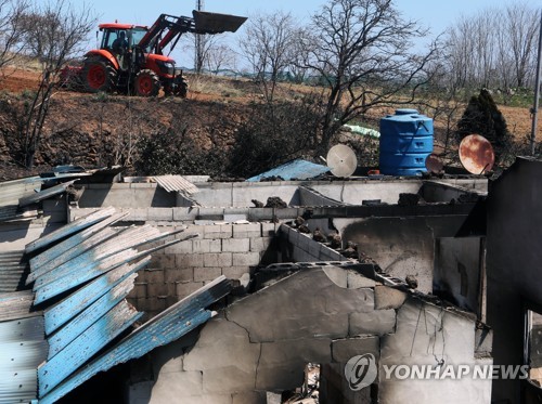 [강원산불] "이제 눈물 닦고 씨 뿌려야지"…잿더미 위로 싹 틔우는 희망