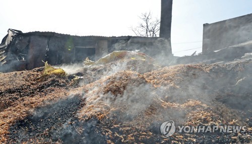 [강원산불] 농사·일터 잿더미 된 이재민들 "그래도 살아야지요"