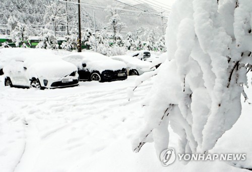 "설국으로 변한 태백"…34년 만에 4월 최대 폭설 22.5㎝