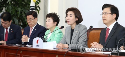 나경원 "남북정상회담 서두르지 말고 차근차근 제대로 해야"