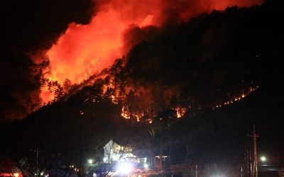 해운대 산불, 피해 면적만 13㏊…소방 "진화율 90%"