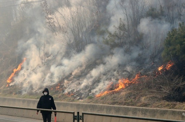 강원도 인제군 남면 남전리 약수터 인근 야산에서 발생한 산불이 바람을 타고 번지고 있다.(사진=연합뉴스)