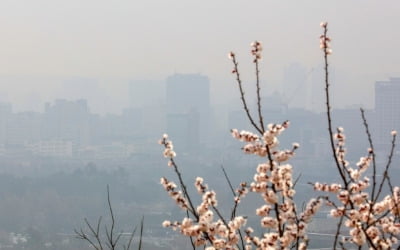 충청이남 미세먼지 나쁨…일요일은 전국이 '보통'