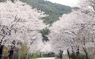 [오늘 날씨] 낮 최고 28도…'벌써 초여름'