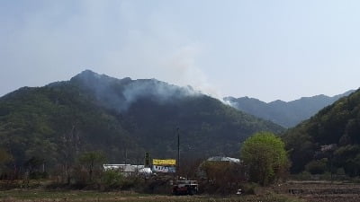 계룡산국립공원·인근 야산서 잇따라 산불 발생