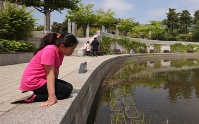 [오늘 날씨] 전국 흐리고 남부지방 곳곳 비 … 미세먼지 '좋음'