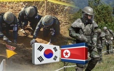 南 단독 DMZ 유해발굴 오늘 개시…발굴단 100여명 투입