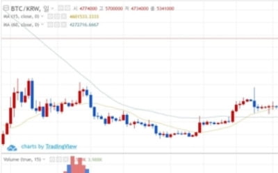 비트코인 15% 급등…4개월여만에 500만원대 회복