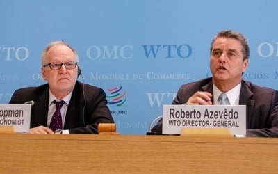 WTO, 올해 무역 성장률 2.6% 전망…작년보다 0.4%p ↓