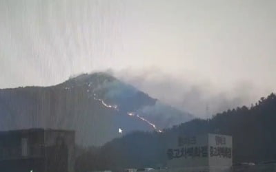 '큰 불길은 잡았다'…해운대 산불, 현재 축구장 28개 면적 불타