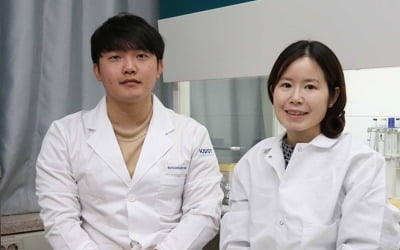 항생제 조합 성능 확인 빨라진다…16시간 이상 단축