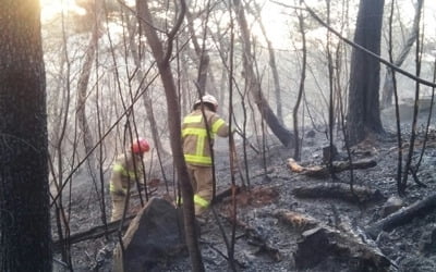 부산 해운대 산불 18시간 만에 초진 완료…20ha 소실 추정