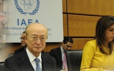 IAEA 사무총장 "비핵화 타결되면 수 주 안에 北에 사찰단 파견"