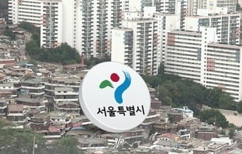 서울시, 재개발 방식 다양화…용적률 등 사업성 기준 재검토