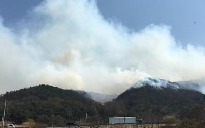 아산 설화산 산불 재발…진화에 인력 500여명·헬기 3대 투입