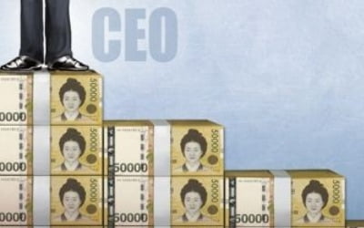 30대 대기업 CEO 연봉 작년 일반직원 평균 급여액의 30배