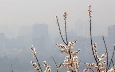 토요일 미세먼지 충청이남 '나쁨'…일요일엔 전국 '보통'