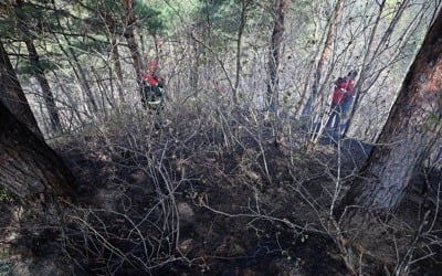 [강원산불] 잦아든 바람에 재발화 '잠잠'…8000명 밤샘 뒷불 감시