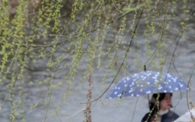 오후부터 전국에 '봄비'…충청 이남지역엔 미세먼지 '나쁨'