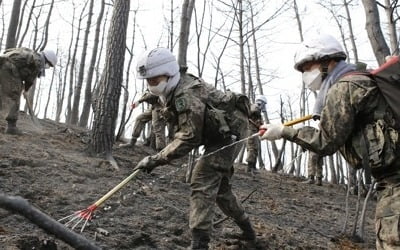 [강원산불] 인제 진화율 90%…주택 피해 162채로 늘어