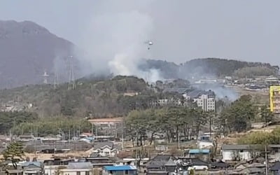 부산 기장군 야산서 또 산불…임야 1650㎡ 태워