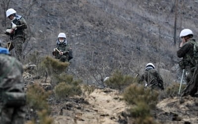 [강원산불] 새까맣게 탄 야산서 전투식량 먹으며 '숨은 불씨'와 전투