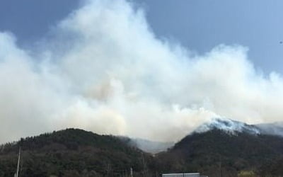 건조한 날씨에 충남 당진·태안서 산불 잇따라…80대 사망