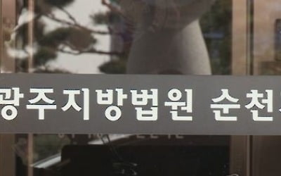 "후보 도와달라"…유권자에 비아그라 제공 자원봉사자 벌금형