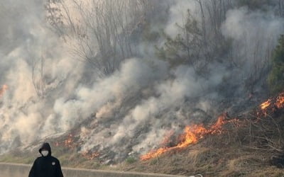 [강원산불] 45시간 태운 인제 산불…발 빠른 대응 피해 최소화