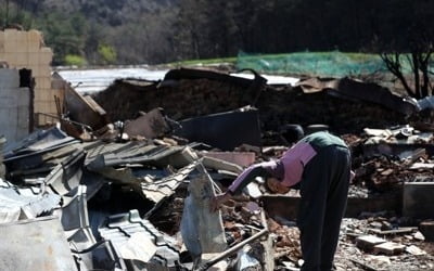 [강원산불] "시뻘건 불길 생생해요" 트라우마 시달리는 이재민들