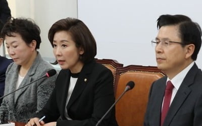 나경원 "재해 추경만 분리 제출하면 초스피드 심사·통과"