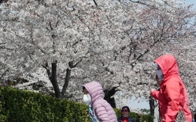 내일 전국 비·눈 소식…찬바람에 낮 기온 '뚝'