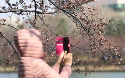 눈·비 그친 뒤 낮 기온 '뚝'…바람도 강하게 불어 '쌀쌀'