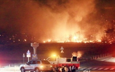 강원산불 산림피해 530㏊→1757㏊ 3배 넘게 늘어